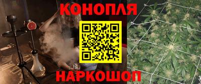 jwh Пенза