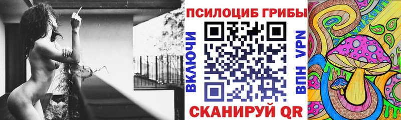 дарнет шоп  Россошь  даркнет телеграм  Псилоцибиновые грибы мухоморы 