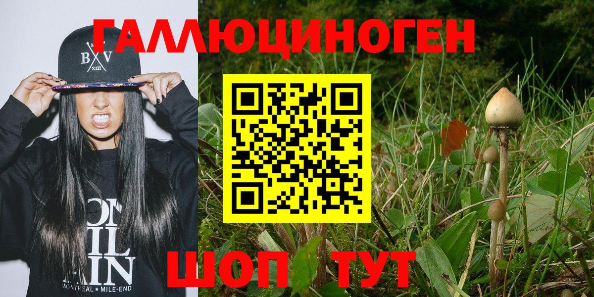 Галлюциногенные грибы мухоморы Россошь
