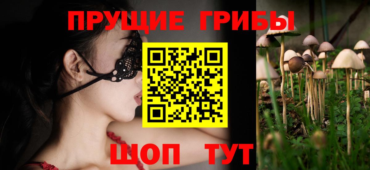 Галлюциногенные грибы MAGIC MUSHROOMS  Вход с VPN  Россошь 